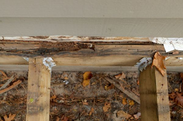Daytona Beach Wood Rot Repair